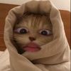dhyraniaaaaaa_