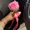 yasnayosefi11