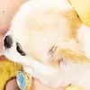 koti_koti_ko69stsn