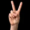 lmbw9_v