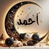 ahmaed.alrefaee