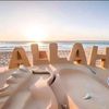 hafiz.shahbaz53