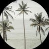 lvcdj2