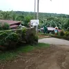 mamilan780