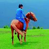 parwana046