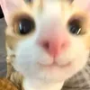 mingzip