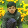 mehran.jan48101