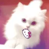 hongglien9
