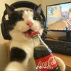 mogs402