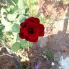 user2304615934102