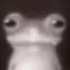 ser_._humano