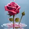nagham.sherif7