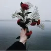 user210841619049
