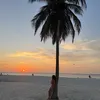 sofidonatto_