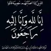 basam_213