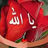 nazdar.mufti