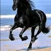 ayubge.ayubge