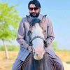hamidsulehri11