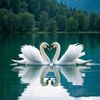 __zehra__nur__
