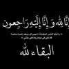user800907586558
