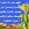 gy.mk