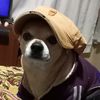miguelcampbell41