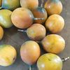 ojo.granadilla