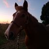 raylie.tucker