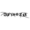 spinoza112