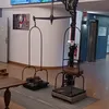 animal.social6