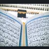 asmaa61449