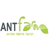 Ant Farm