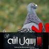 user9052354811325