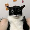 ilikeapplesnbanana