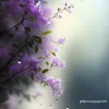 vnanhphm856