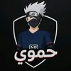 hamoi_hr_2025