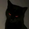 hate_1e