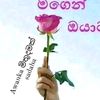nilu5624