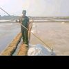 dermayu_brt75