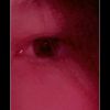 guka_2011g