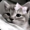 fairy_fa377