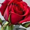 abdullah72454