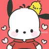 imyour_jjang._