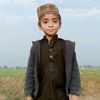 shahzad.ali.baloc49