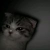 _m1ffy.zohra_