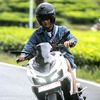 irsyadaras._