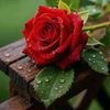 user8022101770356