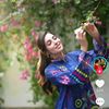 shai6544