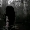 m_313._rm