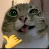 xpyctx